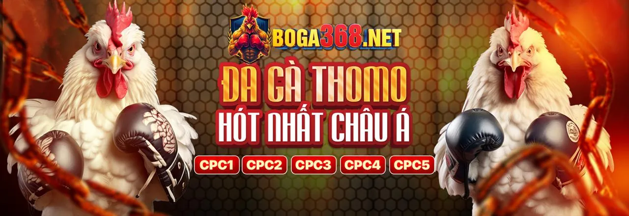 Đá gà kịch tính tại Trang chủ chính thức zz88