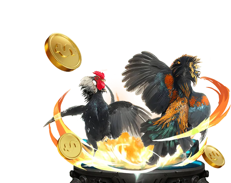 Chương Trình VIP Độc Quyền